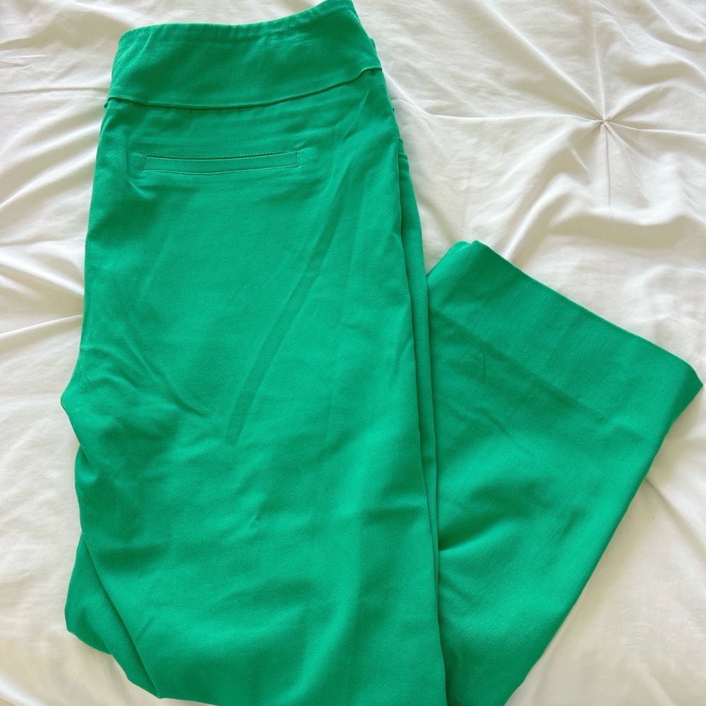 Zac & Rachel Emerald Green Knit Pull-On Pants